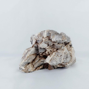 Plantas de Acuario, Decoración para Peceras y Estanques, Paisajismo Acuático y Terrestre, Bonsái, Piedra de Dragón Verde para Jardín - Product Image 4