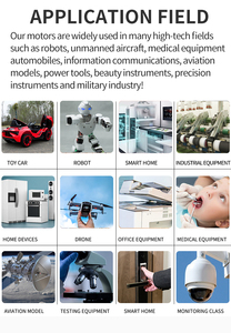 Xbd-1219 <span class=keywords><strong>Motore</strong></span> Brushless Coreless da 12mm ad Alta Coppia e Velocità con Riduttore Epicicloidale <span class=keywords><strong>per</strong></span> Robot e Automobili - Product Image 5