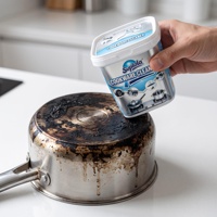 Crème Nettoyante en Gros OEM à Marque Privée, Écologique, en Acier Inoxydable, Parfum Citron, Détartrant pour Ustensiles de Cuisine