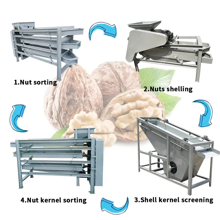 Hạt điều hạnh nhân rung chấm điểm máy đậu ca cao cà phê đậu phân loại máy