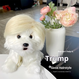 Perruque Courte Dorée Clair à Motif Dessin Animé Amusant pour Chat et <span class=keywords><strong>Chien</strong></span>, Nouveau Style, Vente en Gros Transfrontalière, Idéale pour Halloween - Product Image 2