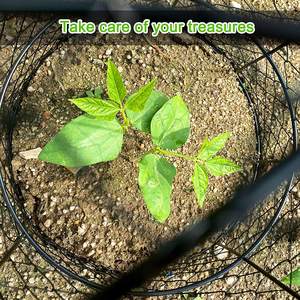 Protecteur et couvre-plante en treillis métallique de 11,8 pouces de diamètre x 15,7 pouces de hauteur, cloche en fil de fer pour jardin - Product Image 6