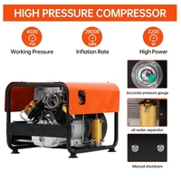 Vente en gros de bouteille de gaz de plongée compresseur Pcp haute pression 300 bars pour pompe de portée compresseur d'air Pcp 4500 psi 30mpa