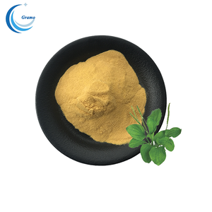 Levering Weegbree Kruid <span class=keywords><strong>Extract</strong></span> Poeder 10:1 - Product Image 1