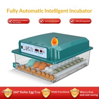 Incubateur d'œufs rectangulaire mini entièrement automatique, boîte d'éclosion transfrontalière à température constante pour poulets, canards, oies, cailles