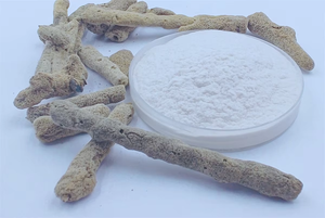 最高品質 99% 機能性成分 スポンジラ スピキュール 植物性パウダー 野生栽培 ハーブエキス 美白用ボディスクラブ - Product Image 3