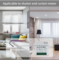 Mini Módulo de interruptor de cortina inteligente WiFi RF433 Tuya Smart Life para persiana enrollable eléctrica Motor de persiana funciona con Alexa Google Home