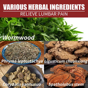 Gel Frío Herbal de 20g para Alivio del Dolor Lumbar, Hernia Discal Cervical, Vitamina E A109, Suministros para el Cuidado de la Salud - Product Image 3