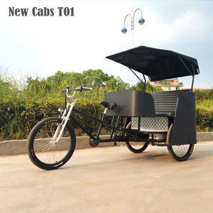 Nuovo Modello di Risciò Elettrico, Pedicab Ester con Display LCD - Product Image 4