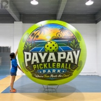 Ballon gonflable géant LED RGB pour pickleball, publicité extérieure personnalisée, décoration d'événements, imperméable et avec logo personnalisé
