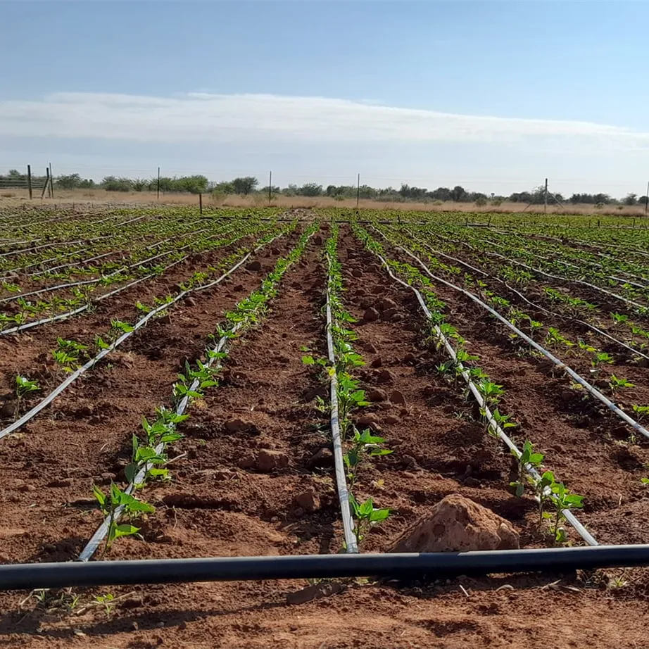 Manguera de agua de línea de goteo para granja, sistema de riego por goteo, kit de 1 acre, cinta de goteo de 15cm, distancia de 16mm y 10cm