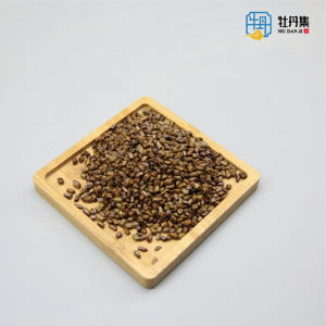 Cassia seme di sperma <span class=keywords><strong>Cassiae</strong></span> Jue Ming Zi crisantemo tè foglia di loto cuscino erba cinese prodotti per la cura della salute essiccati di alta qualità - Product Image 2