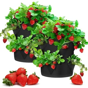 Customized 8/12/16 Pocket Strawberry Growing Planting Indoor Outdoor Felt Grow Bag Fruit Growing Bag Garden Planter