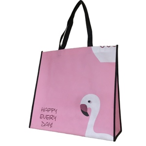 Bolsa de compras ecológica de polipropileno no tejido, personalizada, de nuevo diseño, promocional. - Product Image 1