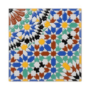 Piastrella Rosette per Patio 20x20 Cm Lucida con Bordi Rettificati - Product Image 4