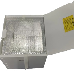 Tái Sử Dụng Cách Điện Nhựa Ngoài Trời Hộp Nước Đá Bia Di Động Có Thể Uống Lạnh Lưu Trữ Túi Chân Không Cách Nhiệt Bảng Điều Chỉnh Hộp Mát - Product Image 5