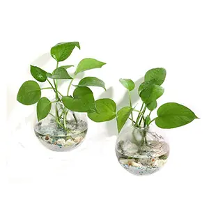 China Lowest Price Various of Size Crystal Glass Wall Hanging Flower Vase Planter Terrarium Container Flower Pot