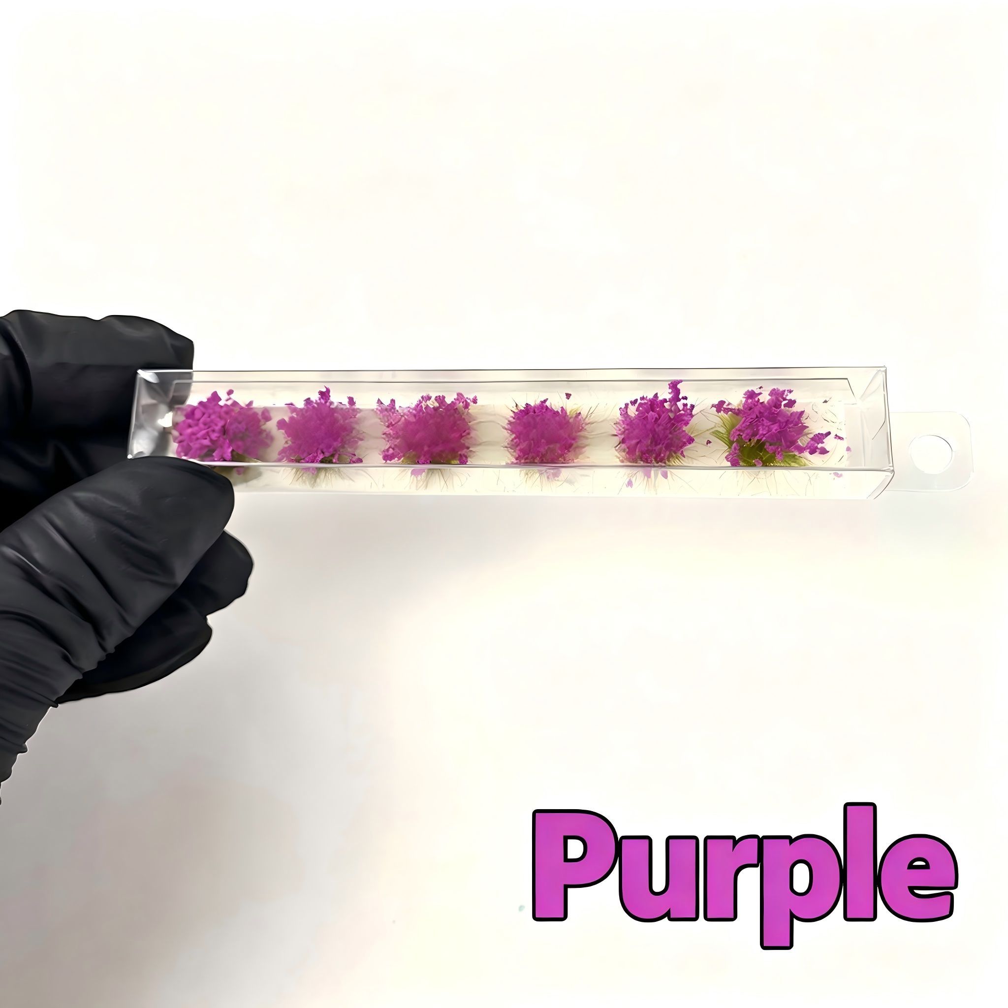03-Purple