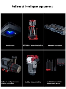 حوض السمك الحديث في إسرائيل ، خزان مرجاني مستطيلي للاستعمال في غرفة المعيشة - Product Image 2