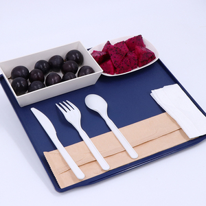 Tray Plastic Plastic Avio Pack 2/3 Atlas Custom Eco Friendly Inflight Food Tray Square Plastic Non Slip Tray ABS Plastic Serving Tray