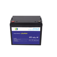 Baterai Lithium Lifepo4 Berkualitas Tinggi 12V 24V 25.6V 100Ah 200Ah Casing Plastik dengan BMS untuk Penyimpanan Energi Surya