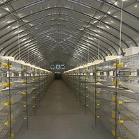 Bâtiment de ferme avicole préfabriqué en acier à structure moderne et économique pour poulets de chair ou pondeuses, fabriqué en Chine