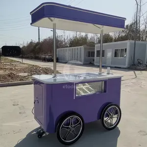 Chariot à poussoirs pour glaces Gelato Vitrine pour sucettes glacées Bike Tricycle Showcase Wholesale Soft Serve Ice Cream Cart