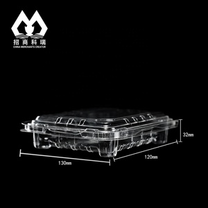 125 250/500G Vỉ Trái Cây Blueberry Berry Dâu Tây Vỏ Sò Bao Bì Dùng Một Lần Rõ Ràng Hộp Nhựa Gói <span class=keywords><strong>Container</strong></span> Với Lỗ - Product Image 6