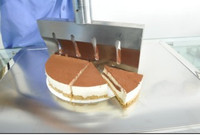 Équipement de découpe alimentaire à ultrasons Wanli Group pour la découpe de gâteaux et de pains