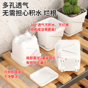 Macetas para Suculentas Qinfeng de 7.5cm X 8cm X 3cm, Macetas de Plástico Transpirables para Escritorio y Jardinería en Casa - Product Image 2