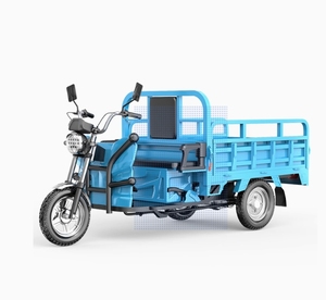 Vélo électrique Offre Spéciale à 3 <span class=keywords><strong>roues</strong></span> à <span class=keywords><strong>vendre</strong></span> Tricycle électrique de moto de cargaison - Product Image 2