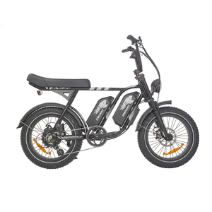 Personnalisation 52V15AH double batterie VTT <span class=keywords><strong>e</strong></span>-bike vélo électrique rapide adulte ville <span class=keywords><strong>e</strong></span> vélo 1000W vélo électrique - Product Image 2