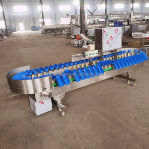 Factory Direct Automatic Fruit and Vegetable Weight Sorting Equipment Weighing and Grading Machine - Product Image 4