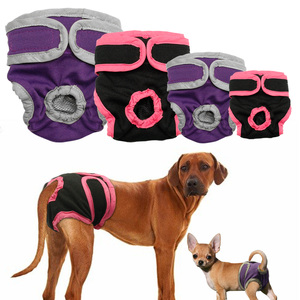 Pantalones cortos fisiológicos para perros y niñas, ropa interior para perros pequeños - Product Image 1