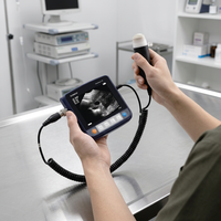 JINZHONG JZ-SWUV9 – Scanner d'échographie vétérinaire portable, certifié CE, en acier inoxydable, résistant au vent, avec garantie de 3 ans