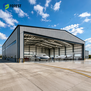 Intermodal Freight Pre Engineered Structural Steel Aviation Hangar <b>Hub</b> Prefabricated Wide Span Aircraft Facility - Product Image 1