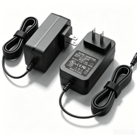 Transformateur AC/DC mural personnalisé 24V 1A 1.5A 2A 100-240V avec prise EU/AU pour diffuseur d'arômes et purificateur d'air