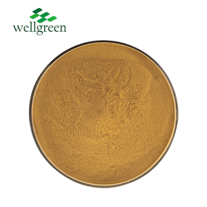 Factory Supply Natural <strong>Astragalus</strong> Root <strong>Extract</strong> <strong>Powder</strong> High Purity <strong>Astragalus</strong> <strong>Extract</strong> - Product Image 3