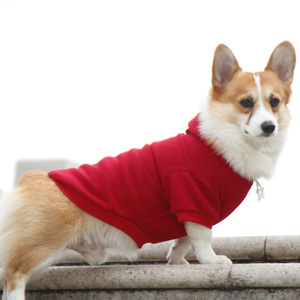 Sweat à capuche pour animaux de compagnie, couleur unie, petite taille, décontracté, pour chien Teacup, Pomeranian, Maltese, vêtements pour chiots, toutes saisons - Product Image 2