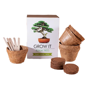 Kit de inicio de jardín interior de estilo rural, casa de árbol de bonsái DIY, macetas para cultivo de plantas, maceta, maceta para vivero, escritorio embalado en cartón - Product Image 1
