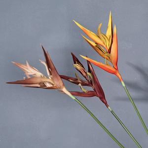 Flores Artificiales de Pluma de Ave del Paraíso Meng Jie, Material Floral de Goma Suave para Decoración de Bodas y Hogar, Estilo Ins - Product Image 2