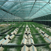 Serre agricole en plastique à double couche, mini-serre pour l'agriculture