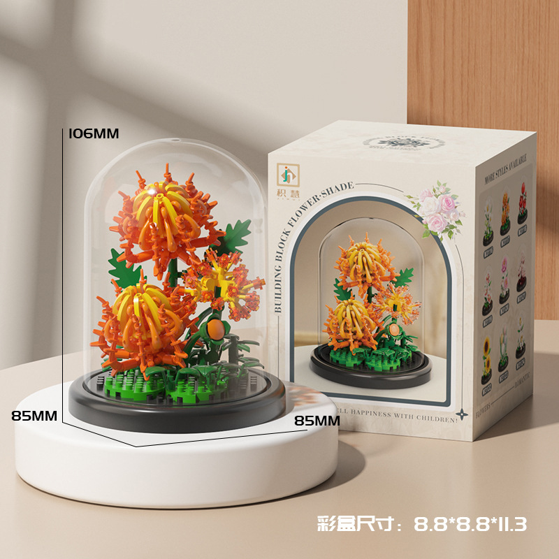 Chrysanthemum 224pcs+transparent dust cover-color box