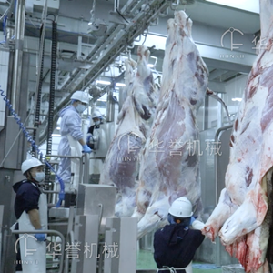 Proyecto Llave en Mano <span class=keywords><strong>para</strong></span> Matadero de Vacas, Línea de Sacrificio de <span class=keywords><strong>Ganado</strong></span>, Matadero de Bovinos - Product Image 6