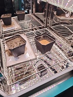 Incubateur à lumière LED 180L, chambre de croissance des plantes à température constante, incubateur de germination des graines pour la recherche en laboratoire et en agriculture