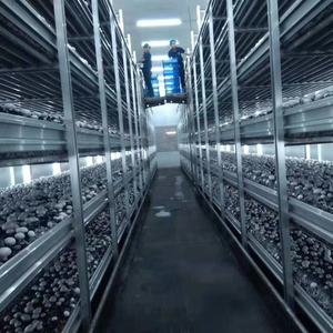 אלומיניום פטריות טיפוח מדפי מפעל גידול עומד מתלה מערכת - Product Image 5