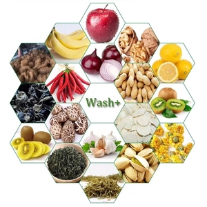 Laveuse <span class=keywords><strong>de</strong></span> fruits et légumes, machine <span class=keywords><strong>de</strong></span> nettoyage pour ail, carotte, pomme <span class=keywords><strong>de</strong></span> terre, tomate - Product Image 6