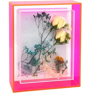 Floating Picture Frame Neon Pink Acrylic Wall Mount Tabletop Desk Frame Decoration Colored Modern Photo Frame for Gallery Home