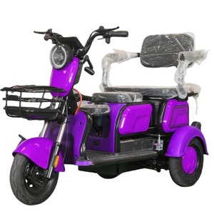 Triciclo Eléctrico Compacto de 1000W con Certificación CE, 48V, 100kg, 30km/h, Autonomía de 30-50km, Triciclo Abierto para Pasajeros - Product Image 1