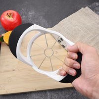 Milieuvriendelijk Roestvrijstalen Appelsnijder Wit Plastic Handvat Keukengereedschap Voor Fruit En Groenten